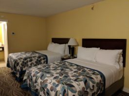 Wyndham Lake Buena Vista vs Wyndham Garden Lake Buena Vista | Green